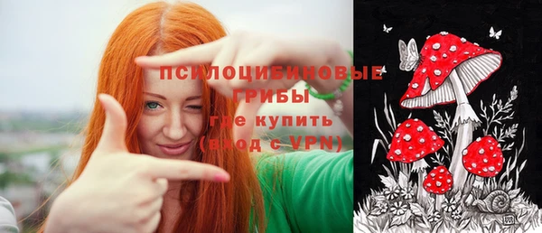 ПСИЛОЦИБИНОВЫЕ ГРИБЫ Беломорск