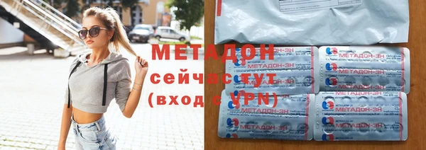 шишки Покачи