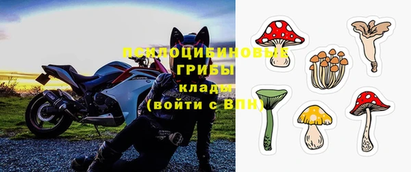 дживик Белоозёрский