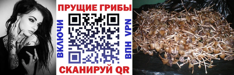 Галлюциногенные грибы ЛСД  Бузулук 